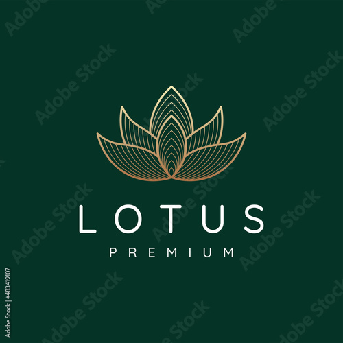 Outline lotus logo design, blossom lotus modern gold logo design emblem vector illustration logo template.
