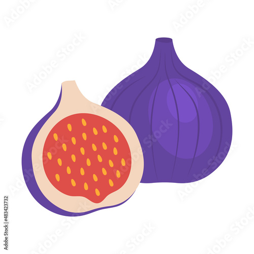 Fig whole fruit and half sliced isolated on white background. Ripe fig cartoon icon for package design. Vector illustration of tropical fruits in flat style.