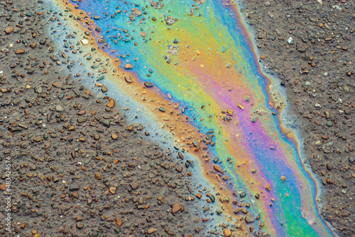 Wallpaper Mural Oil stains on wet asphalt. Puddles are contaminated with multicolored streams of oil. The concept of environmental pollution, oil spills and environmental problems. Torontodigital.ca