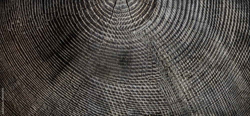 Naklejka premium close up of a surface