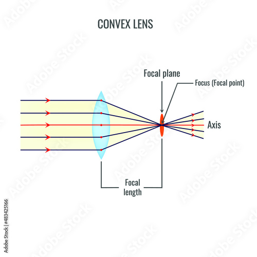 Convex lens vector illustration diagrams photo