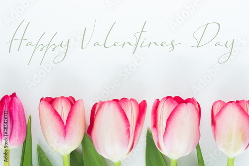 Valentines Day card; pink tulips on white background; colorful flowers; love celebration; romantic