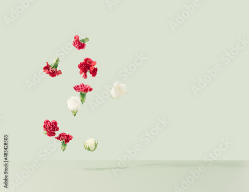 White roses and red Pinks dropping on a pastel green background. Love and affection minimal concept.