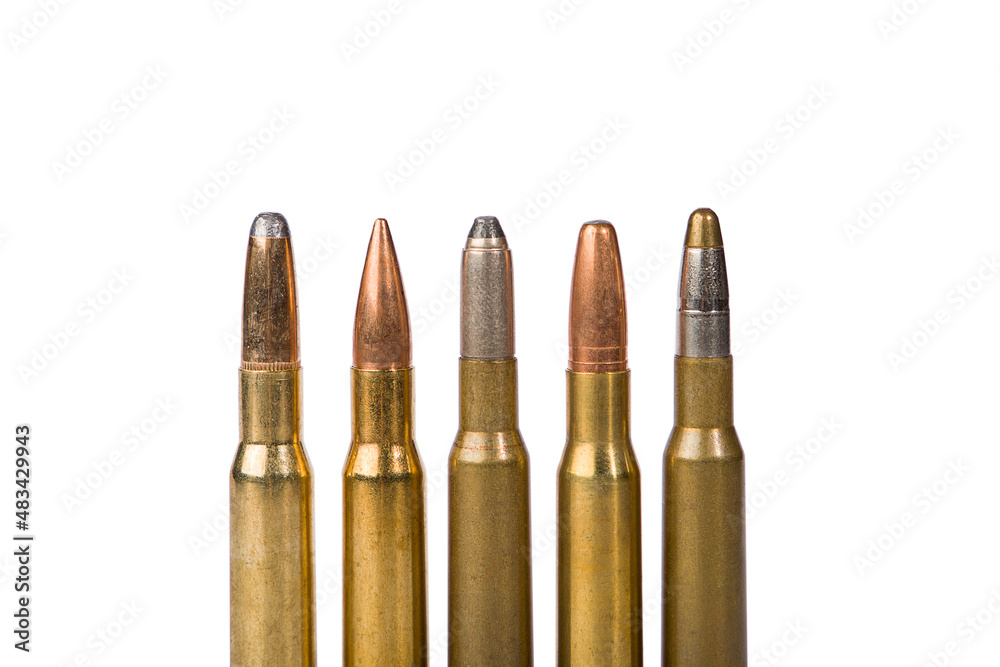 Bullets on white background. Rifle ammunition, 5 different types of projectiles. Bullets on white background. Rifle ammunition, 5 different types of projectiles.