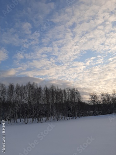 winter landscape with snow © Анастасия Тарасова