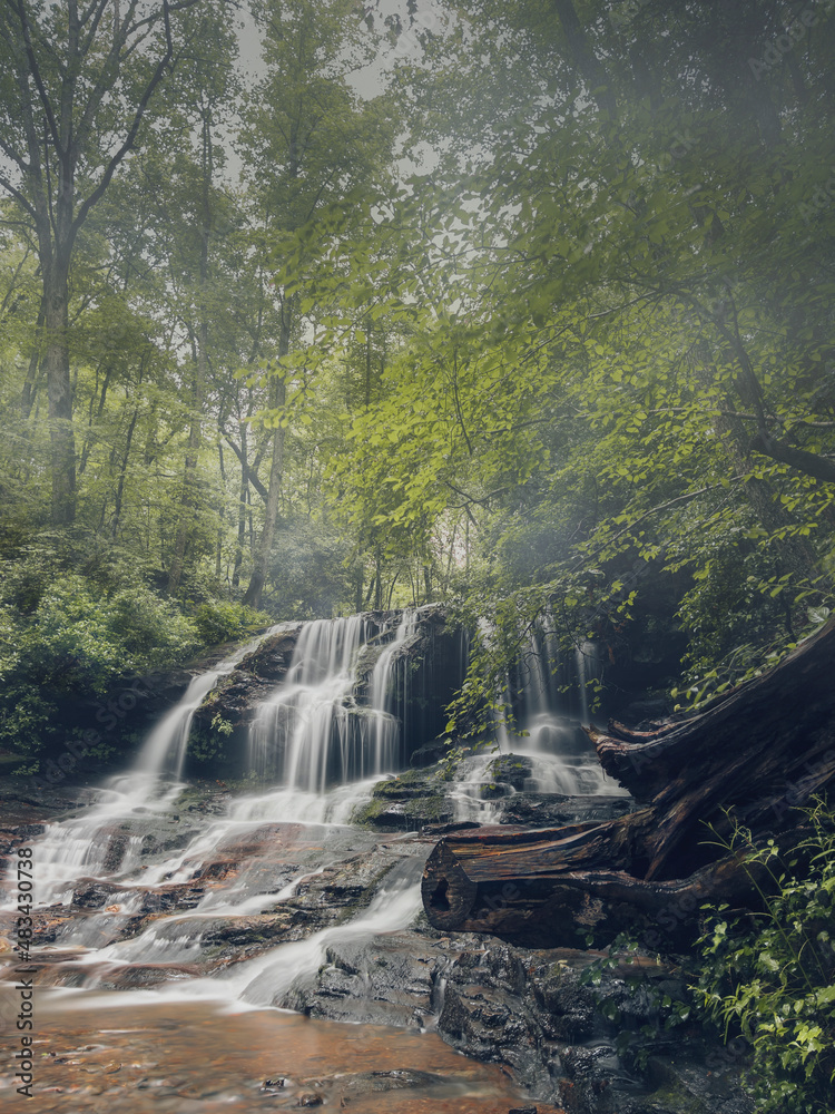 Obraz premium waterfall in the forest