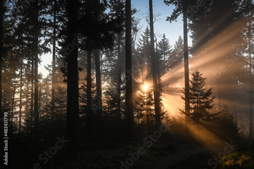 Nebelstimmung bei Sonnenuntergang