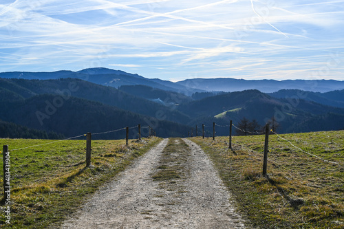 Landschaft im Südschwarzwald