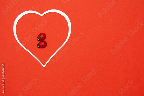 Ladybugs couple in love.valentine`s card.Red Ladybug Couple in Heart Shape on red background. Romance on Valentine's day