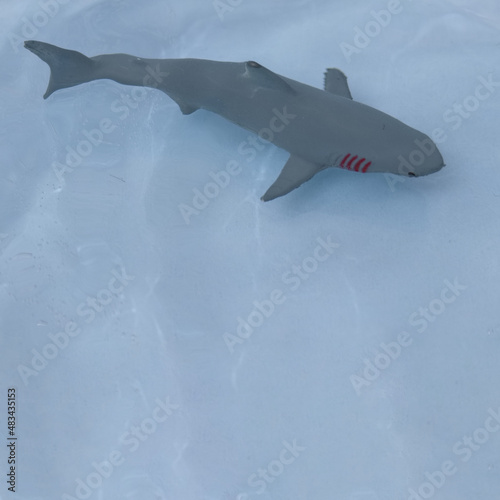 Shark in the water on a light blue background with copy space. Minimalistic scene.