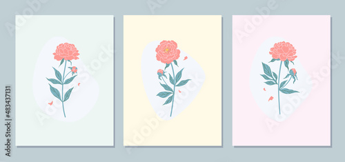 Floral Cards Set with Peony Flowers