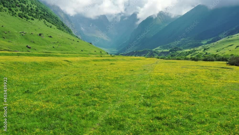 View of wildflower meadow and Caucasus mountains, 4k View of wildflower meadow and Caucasus mountains, 4k