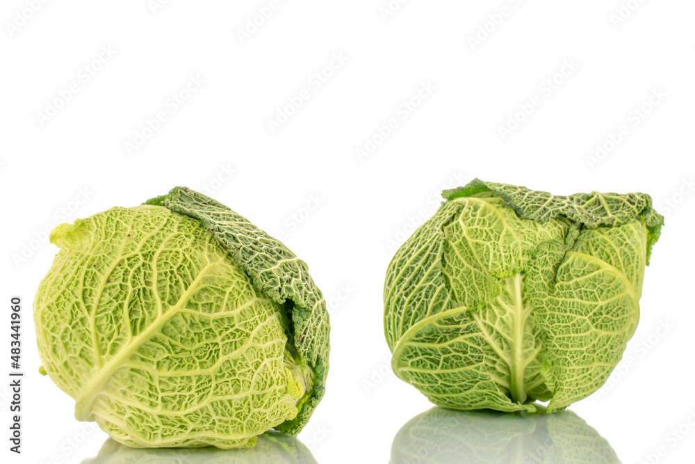 Fototapeta premium Two bales of organic Savoy cabbage , macro, isolated on white.