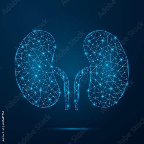 Human kidney with low poly glowing connected dots. Futuristic internal organ with triangular blue shapes. Vector isolated on dark blue background.
