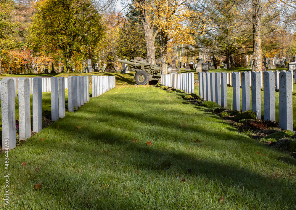 Military cemetery, two rows of headstones with a WWII Howitzer at the end, daytime, nobody
