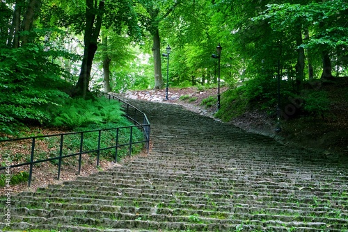 Park Wejherowo photo