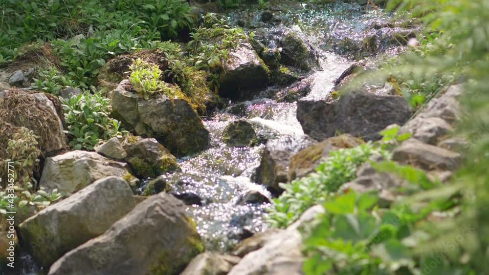 Natural clean origin water flowing in the forest in slow motion 180fps Natural clean origin water flowing in the forest in slow motion 180fps