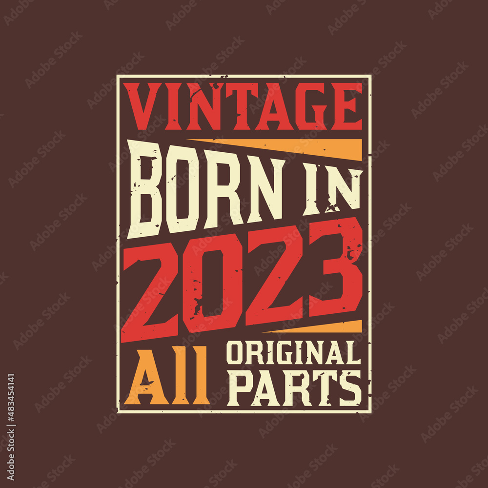 Obraz premium Born in 2023, Vintage 2023 Birthday Celebration