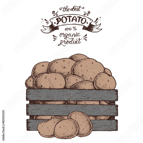 Potato vector illustration. Box of potatoes hand drawn. Colorful illustration.
