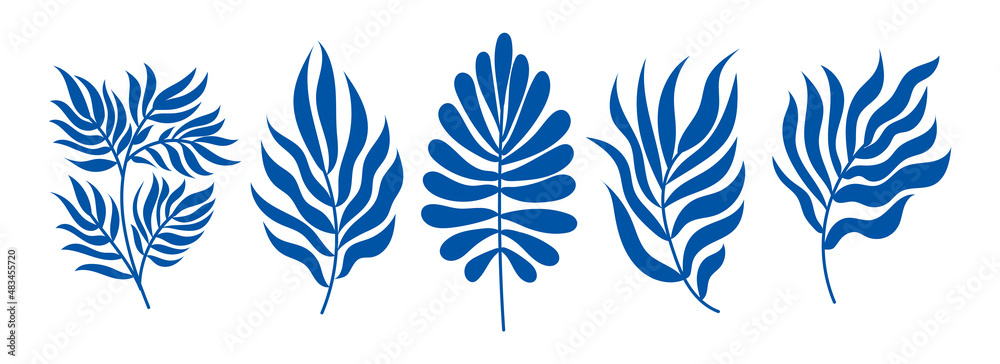 A set of modern plant elements,tropical exotic branches with leaves isolated on a white background. A set of modern plant elements,tropical exotic branches with leaves isolated on a white background.