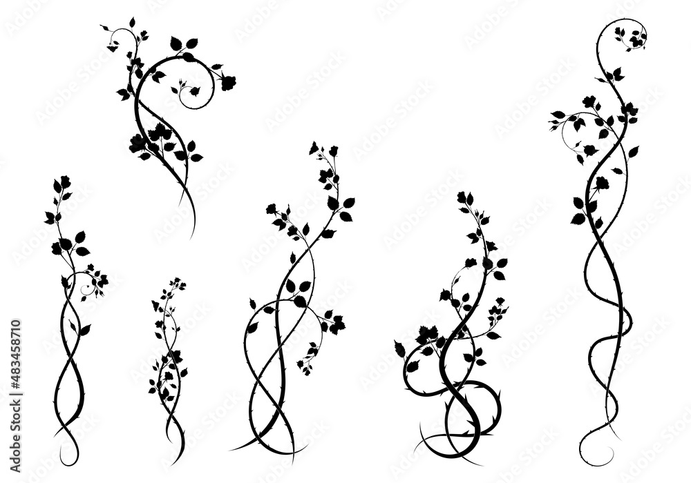 selection for frame elements rose plants. vector