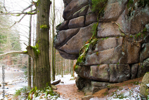 Mountain path with old tree and part of a rock in Lower Silesia, Polnd