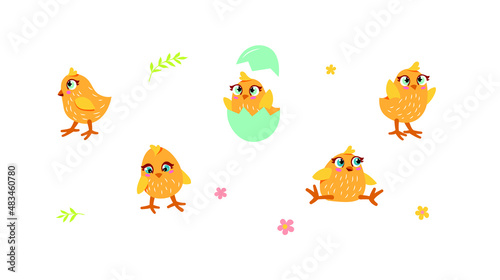 A set of cute chicks in different poses. Isolated vector illustration.