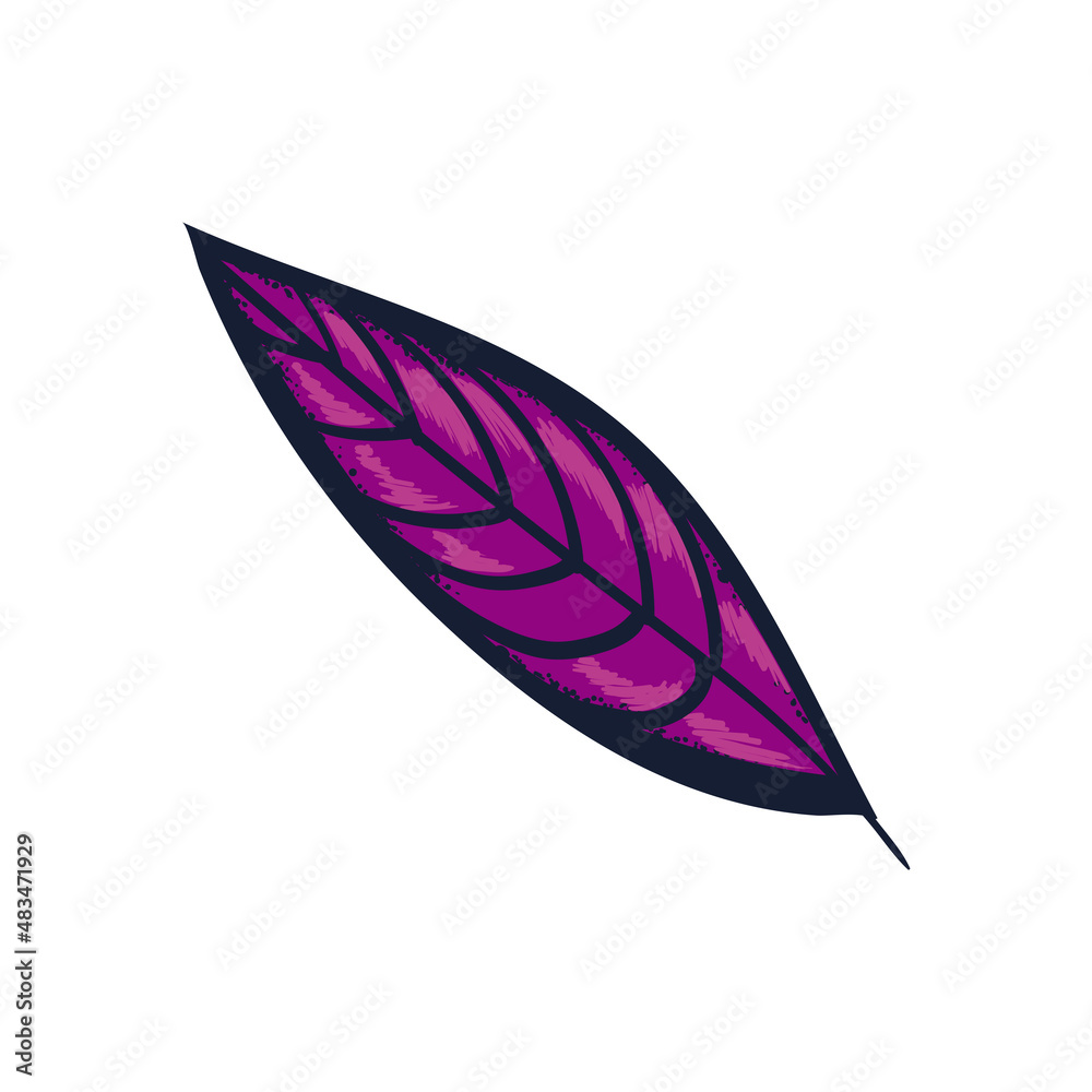 elegant purple leaf elegant purple leaf