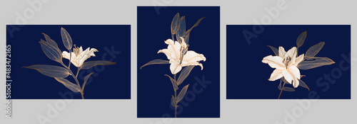 A set of frames with golden metallic lily flowers linear drawings with white flower heads on deep blue. Design for print, poster, invitation, postcard and packaging.