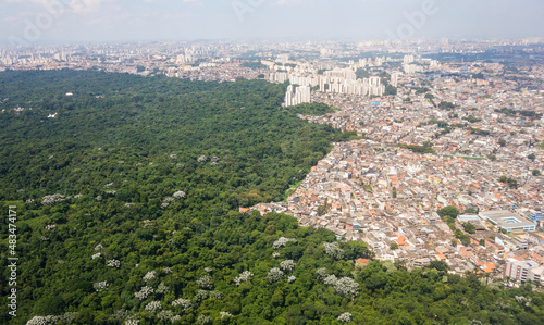 aerial view over Sao Paulo cityscape, buildings invading the forest
