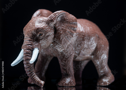 elephant toy.