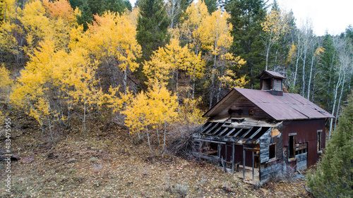 Out of repair house in the woods