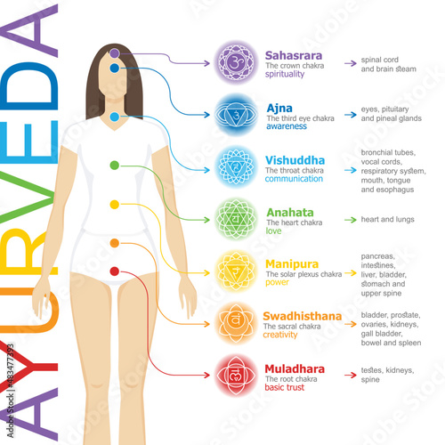 Chakras system with glands. Yogi woman. Vector flat style drawing Sahasrara, Ajna, Vishuddha, Anahata, Manipura, Svadhisthana, Muladhara with text about his glands. Ayurveda, Hinduism, Reiki, Yoga 