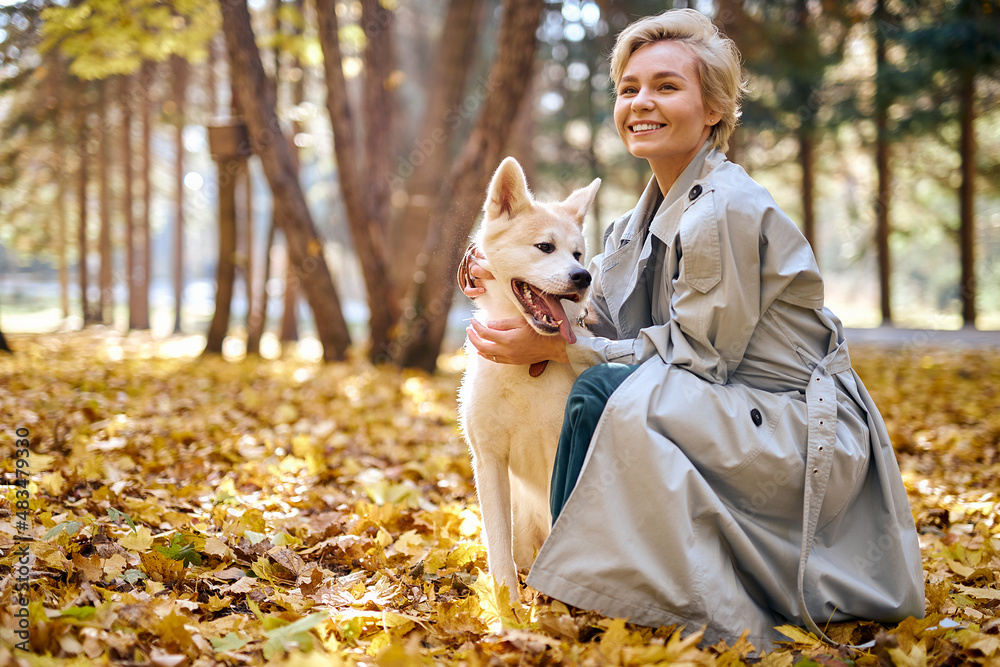 excited female playing with pet dog in park, during leaf fall. at sunny day in autumn. caucasian lady in coat jacket have fun with purebred akita inu dog with white fur. lifestyle, friendship concept