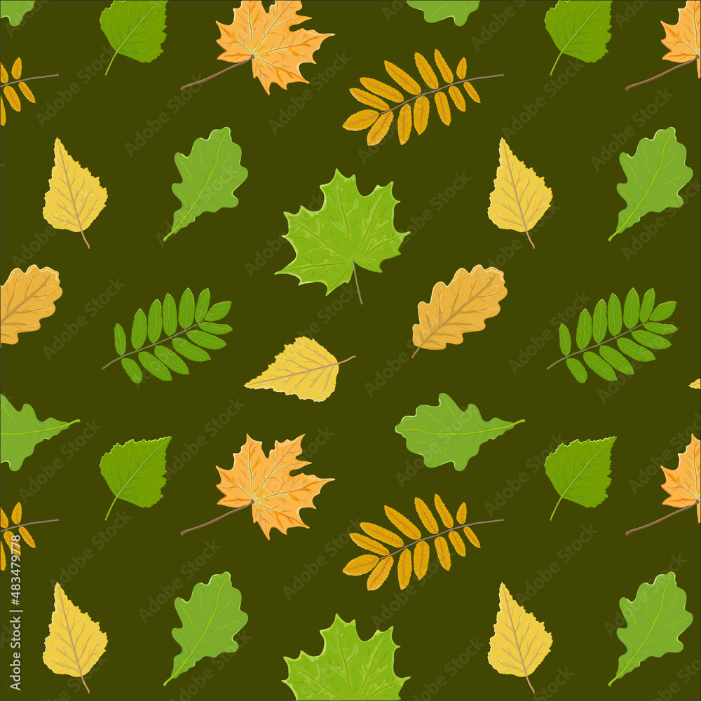 Bright pattern with autumn yellow and summer green leaves of oak, maple ...