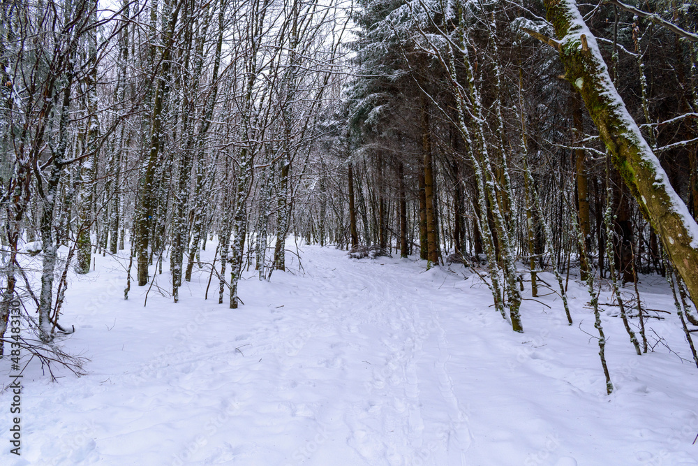 Fototapeta premium La neige à la montagne