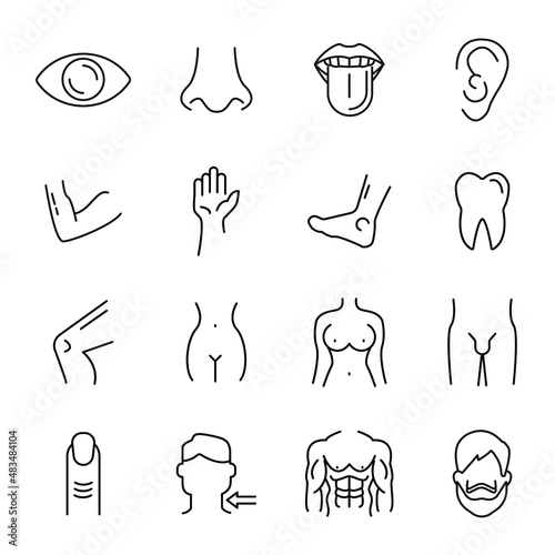 Human Anatomy icons set . Human Anatomy pack symbol vector elements for infographic web