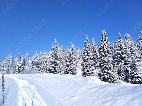 winter landscape with trees © Анатолий Майдуров
