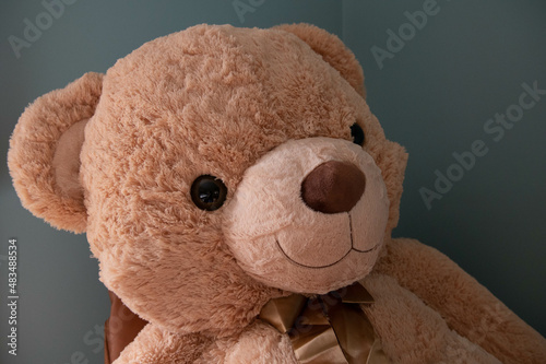 Teddy Bear
