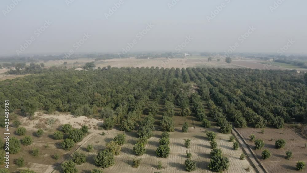 Aerial view of a field crops in the layyah village Pakistan Aerial view of a field crops in the layyah village Pakistan