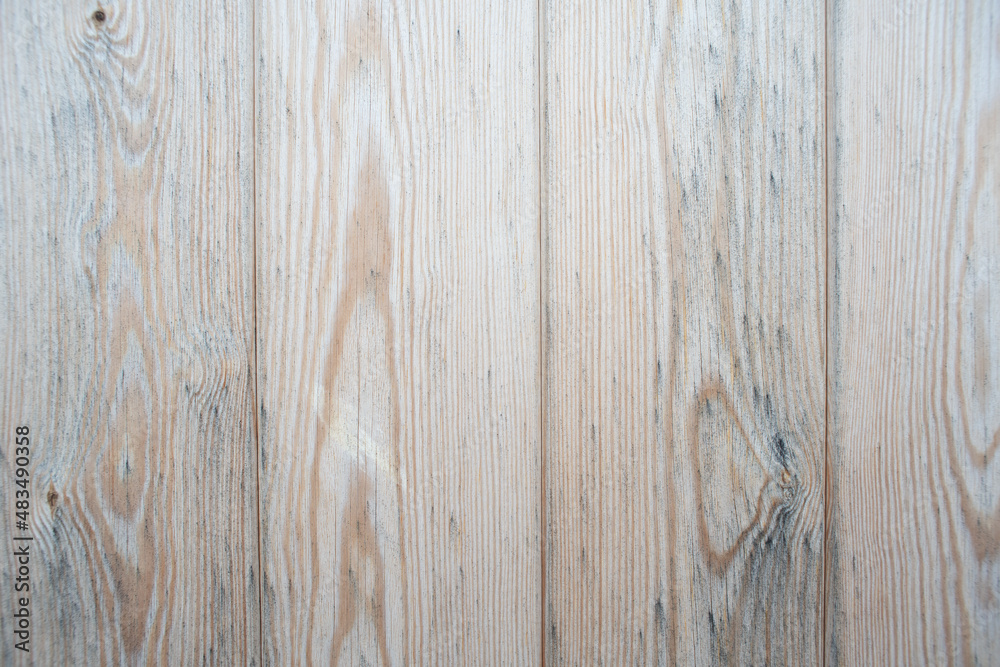 Fototapeta premium texture bois, texture fond clair, porte