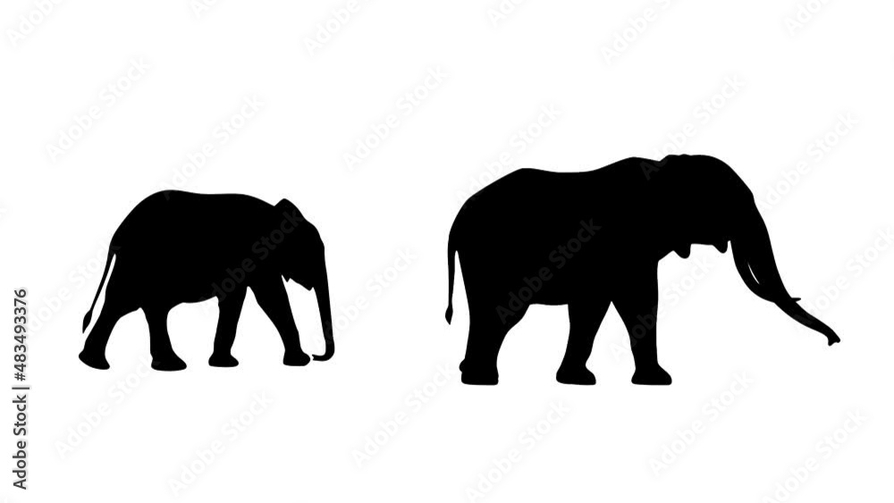 Two walking elephants, animation on the white background (seamless loop) Two walking elephants, animation on the white background (seamless loop)
