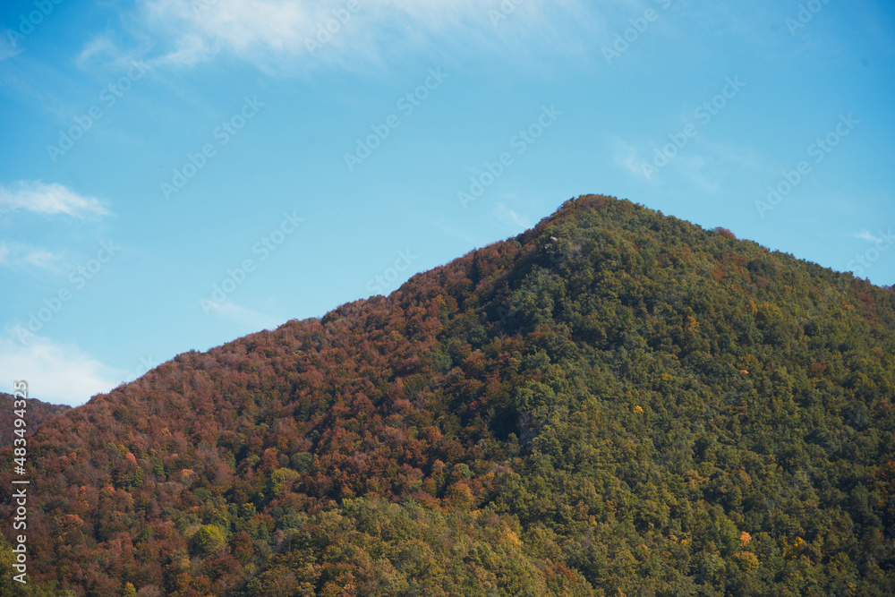 Beautiful landscape of tree-covered mountain peaks with incredible autumn colors