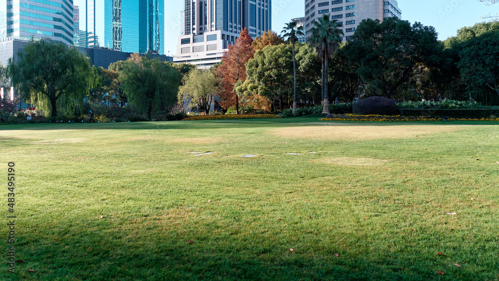 Green grass field and forest with modern office buildings background in Shanghai city Green grass field and forest with modern office buildings background in Shanghai city