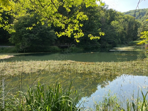 Artificial lakes in a Park forest Jankovac - Papuk nature park, Croatia (Umjetna jezera u Park šumi Jankovac - Park prirode Papuk, Hrvatska) photo