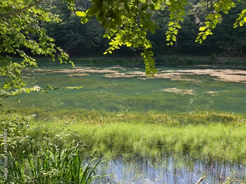 Artificial lakes in a Park forest Jankovac - Papuk nature park, Croatia (Umjetna jezera u Park šumi Jankovac - Park prirode Papuk, Hrvatska) photo
