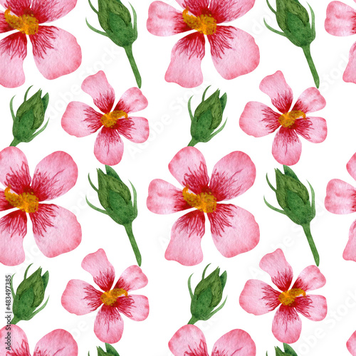 Watercolor tropical pattern with hibiscuses  Leaves and buds