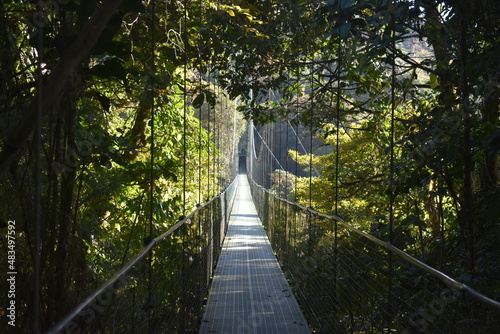 Reserva biológica Bosque Nuboso Monteverde Costa Rica.
Monteverde Cloud Forest Biological Reserve Costa Rica photo