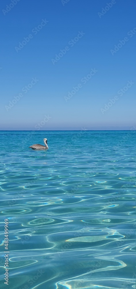 Naklejka premium boat in the ocean