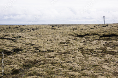 Green Grassy mountain Landscape in the highlands. Travel and nature on a beautiful cold day